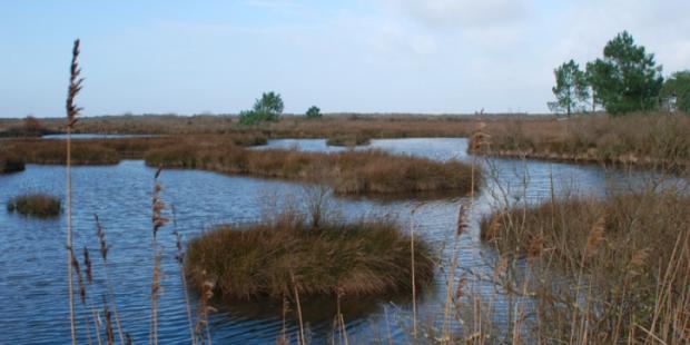 Atlas des paysages - Le Teich
