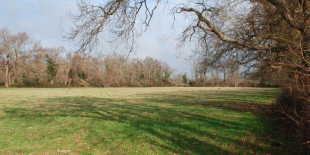 Atlas des paysages - Le Teich