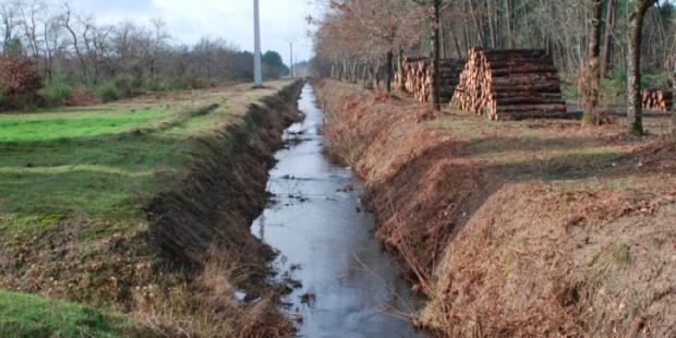 Atlas des paysages - littoral ostréicole