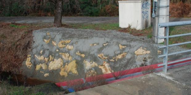 Atlas des paysages - Le Teich