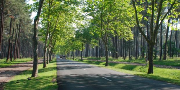 Atlas des paysages - Andernos