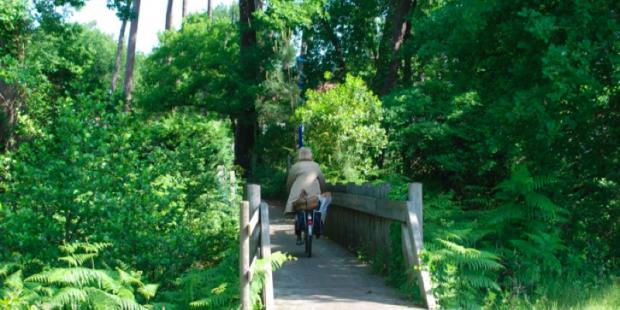 Atlas des paysages - Andernos