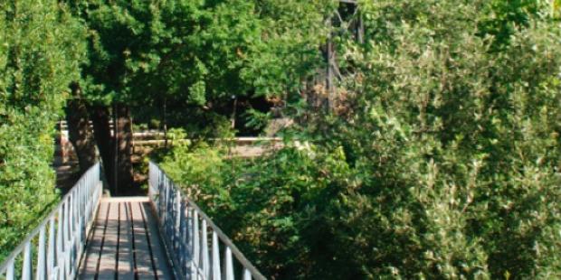 Atlas des paysages - Arcachon