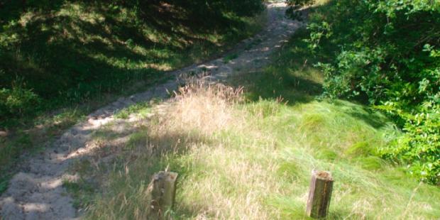 Atlas des paysages - Arcachon