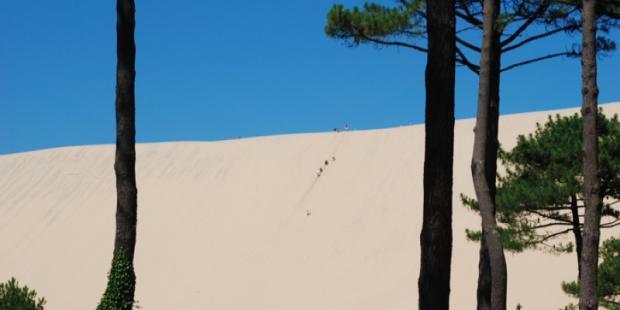 Atlas des paysages - Pyla