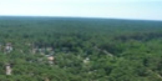 Atlas des paysages - Pyla