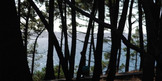 Atlas des paysages - Arcachon