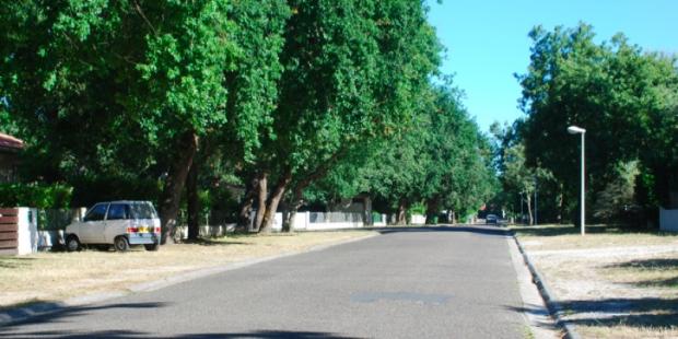 Atlas des paysages - Taussat