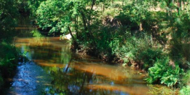 Atlas des paysages - Cap Ferret