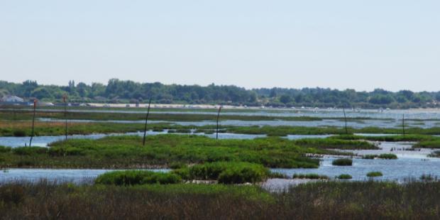 Atlas des paysages - Arès