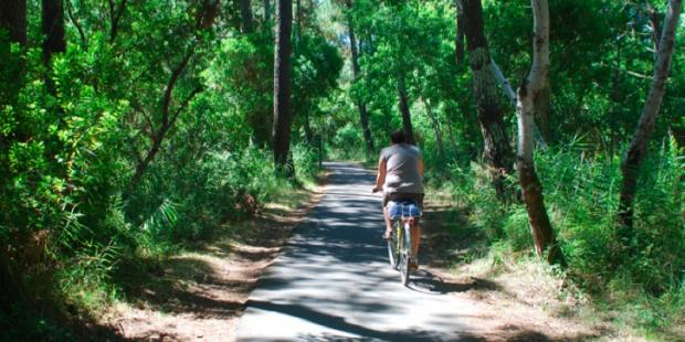 Atlas des paysages - Cap Ferret
