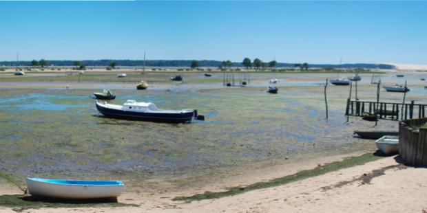 Atlas des paysages - Cap Ferret