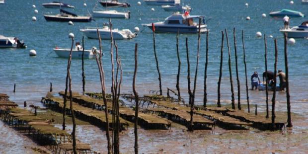 Atlas des paysages - Arcachon