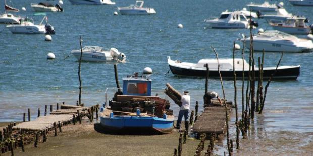 Atlas des paysages - Cap Ferret