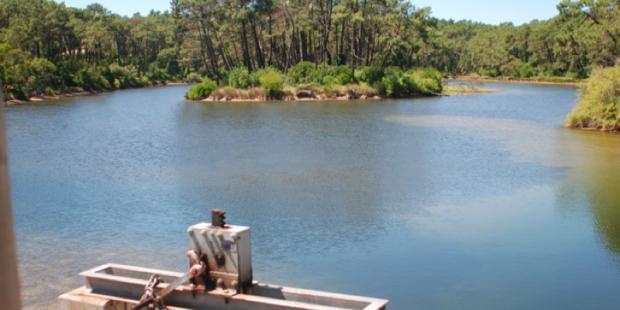Atlas des paysages - Cap Ferret