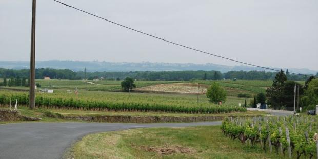 Les vignes s’étalent jusqu’aux boisements qui cernent la clairière en contrebas ; au-delà se dessinent les coteaux en rive droite de la Garonne - Bommes