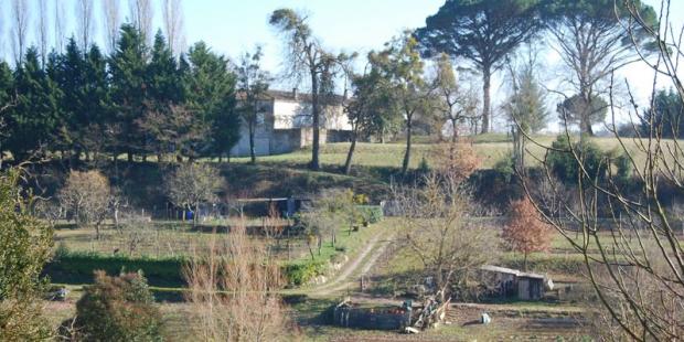 Le vallon au sud de Monségur présente un aspect jardiné 