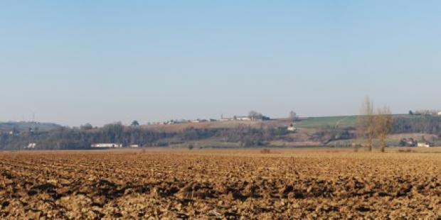 Les monocultures (ici, de maïs) simplifient les paysages à l'extrême : dans ce fond de vallée de Garonne, prairies et structures paysagères ont disparu. 