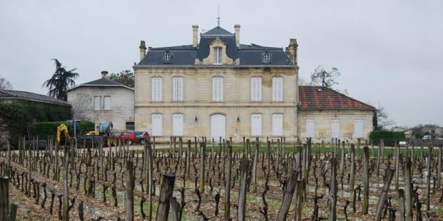 Château Nenin, entouré de ses vignes - Libourne 
