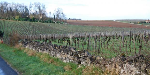 Un muret de pierres sèches qui valorise les paysages viticoles, méritant un entretien régulier - Saint-Emilion 