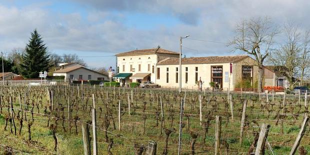 La vigne vient jusqu'au bord des bâtiments - Saint-Genès-de-Castillon 