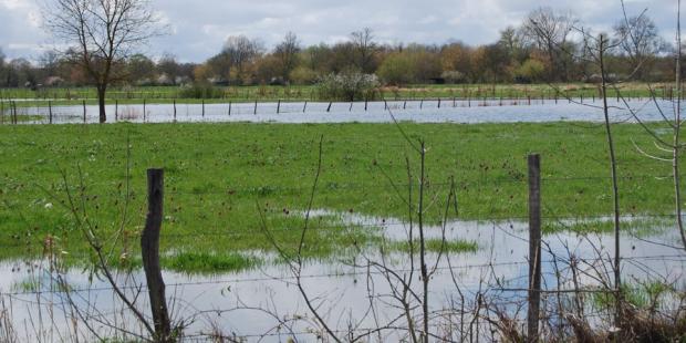 Ces prairies humides préservées dans la vallée de l'Isle assurent au cours d'eau un vaste champ d'expansion en cas de crues - Saint-Denis-de-Pile 
