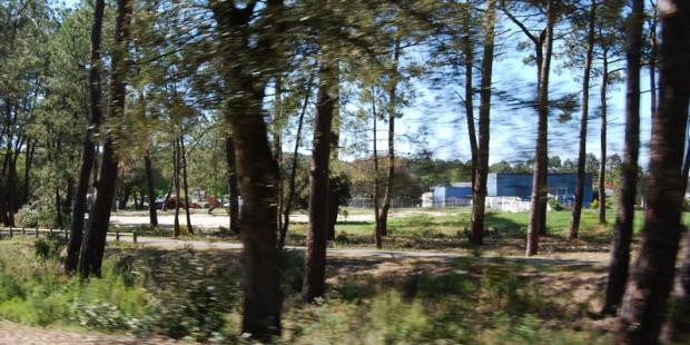 Atlas des paysages - Lacanau