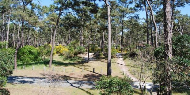 Atlas des paysages - Lacanau