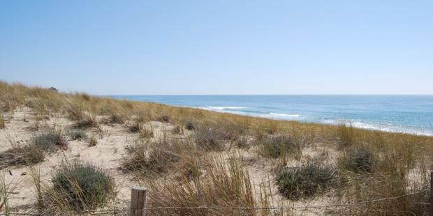 Atlas des paysages - Lacanau