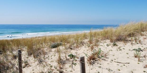 Atlas des paysages - Lacanau