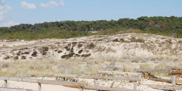 Atlas des paysages - Lacanau