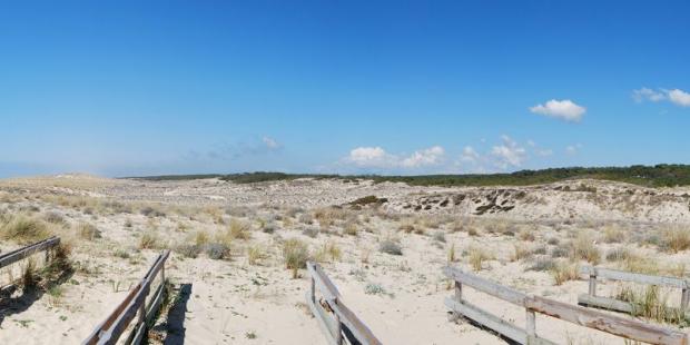Atlas des paysages - Lacanau
