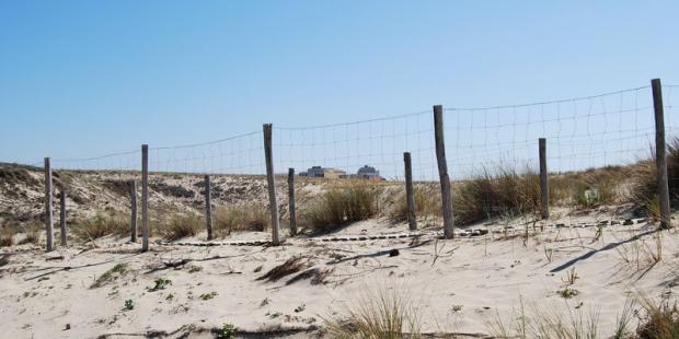 Atlas des paysages - Lacanau