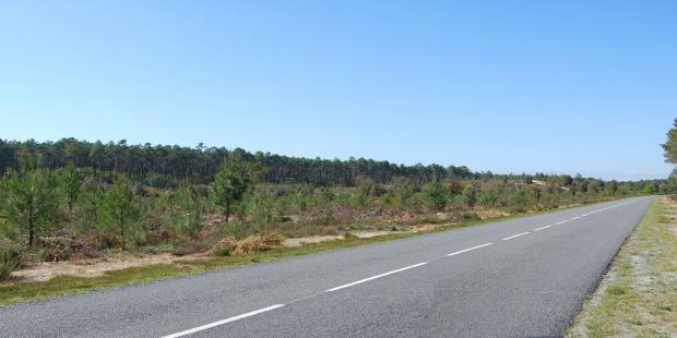 Atlas des paysages - Lacanau