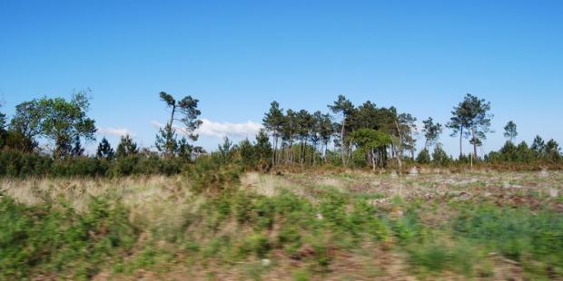 Atlas des paysages - Vendays-Montalivet