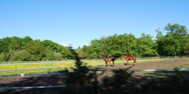 Atlas des paysages - Vendays-Montalivet