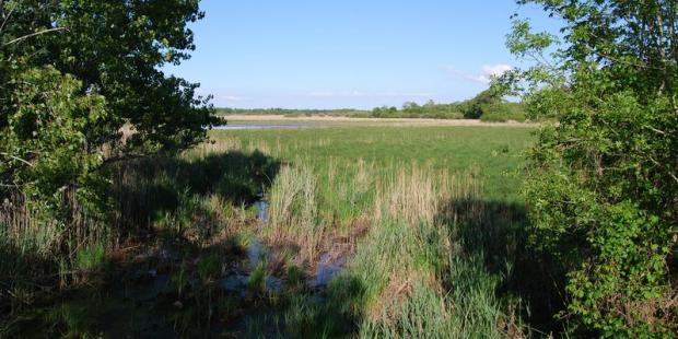 Atlas des paysages - Vendays-Montalivet