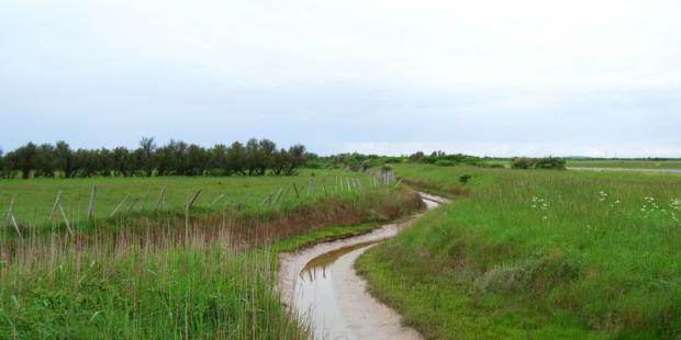 Atlas des paysages - Talais