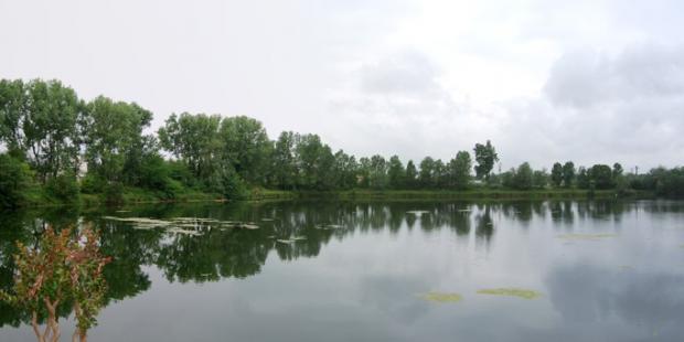 Les gravières de Courréjean, à Villenave d'Ornon, sont aujourd'hui devenues des étangs de pêche accueillant de nombreuses espèces de poissons. 
