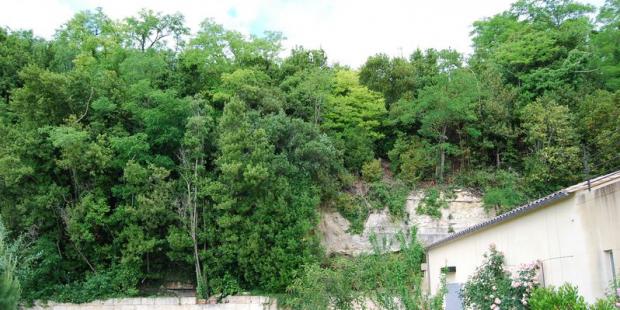Le développement de la végétation a occulté la falaise calcaire elle-même - Bayon-sur-Gironde 