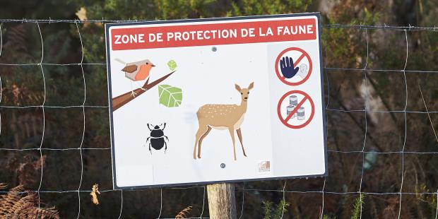 Protection faune