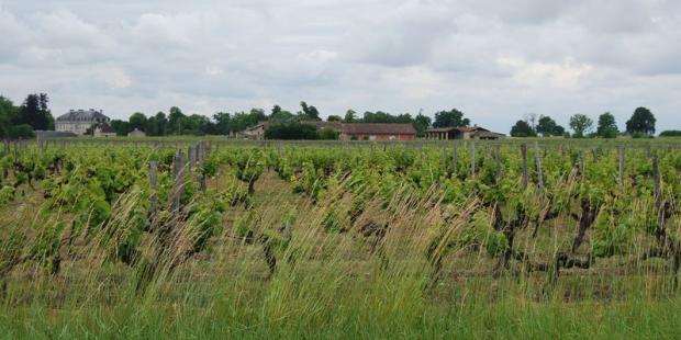 La ferme et le château du Bouilh constituent un ensemble de grande qualité - Saint-André-de-Cubzac