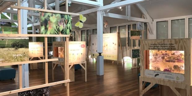 expo sentinelles certes