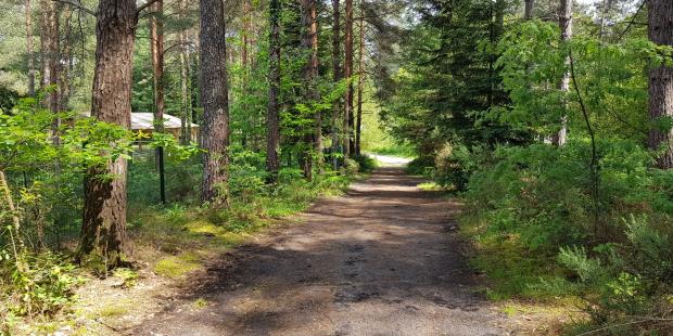 Un sentier de promenade à Hostens