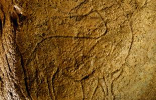 gravure d'un cheval sur le mur de la grotte de Pair-non-Pair