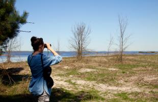 Marais du Pouch à Carcans, zone humide