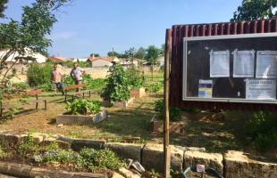 Le jardin partagé de Cussac-Fort-Médoc