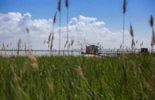 Parc naturel du Médoc