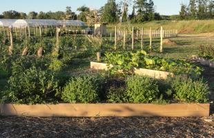 Site maraîcher de Génissac