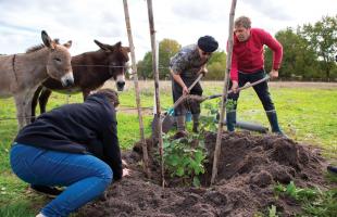 Association Phare de l'Eyre